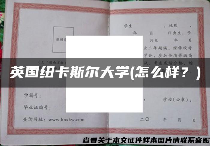 英国纽卡斯尔大学(怎么样？)