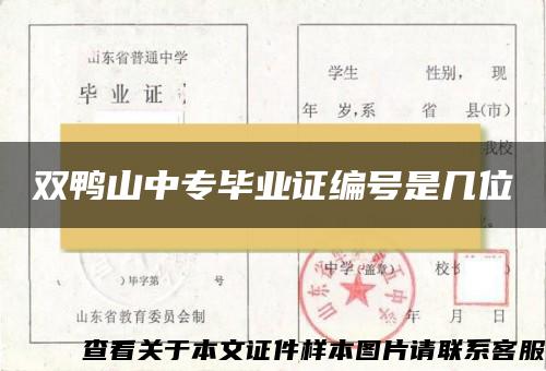 双鸭山中专毕业证编号是几位