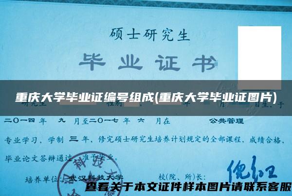 重庆大学毕业证编号组成(重庆大学毕业证图片)