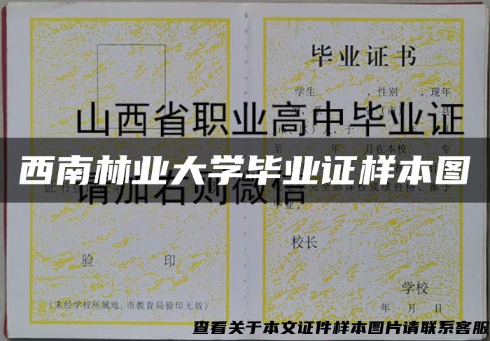 西南林业大学毕业证样本图