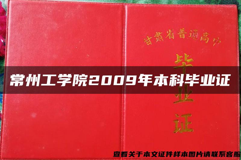 常州工学院2009年本科毕业证