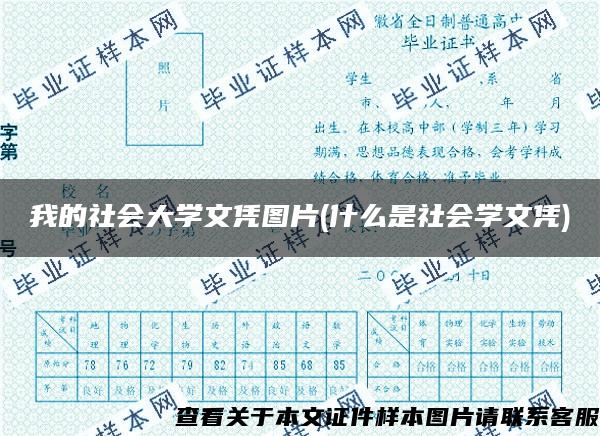 我的社会大学文凭图片(什么是社会学文凭)