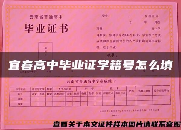 宜春高中毕业证学籍号怎么填