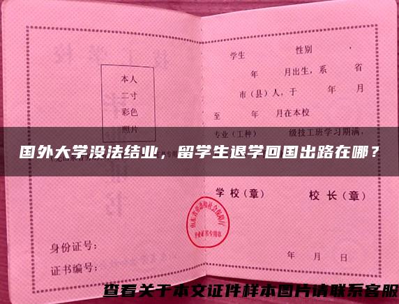 国外大学没法结业，留学生退学回国出路在哪？