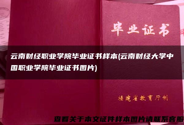 云南财经职业学院毕业证书样本(云南财经大学中国职业学院毕业证书图片)