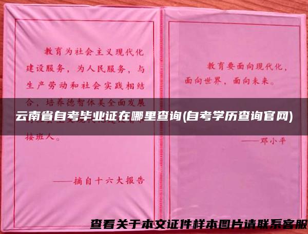 云南省自考毕业证在哪里查询(自考学历查询官网)