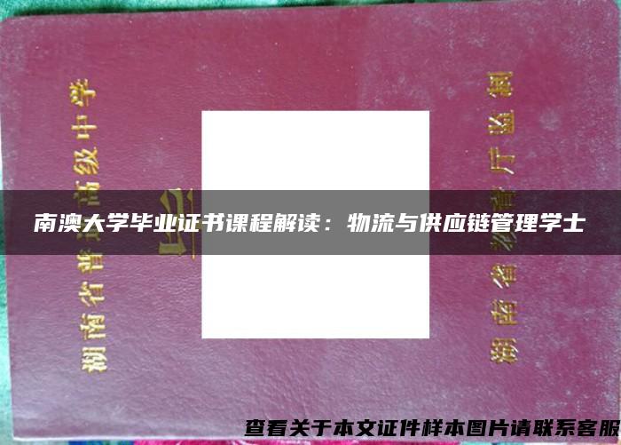 南澳大学毕业证书课程解读：物流与供应链管理学士