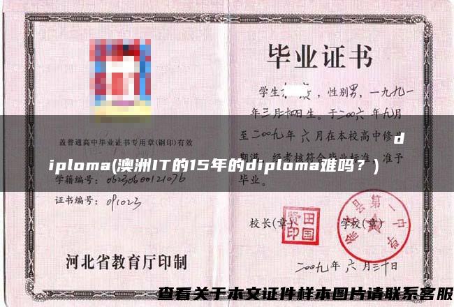 Казахскийуниверситеттехнологииибизнесаdiploma(澳洲IT的15年的diploma难吗？)