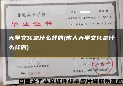 大学文凭是什么样的(成人大学文凭是什么样的)