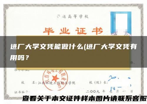 进厂大学文凭能做什么(进厂大学文凭有用吗？