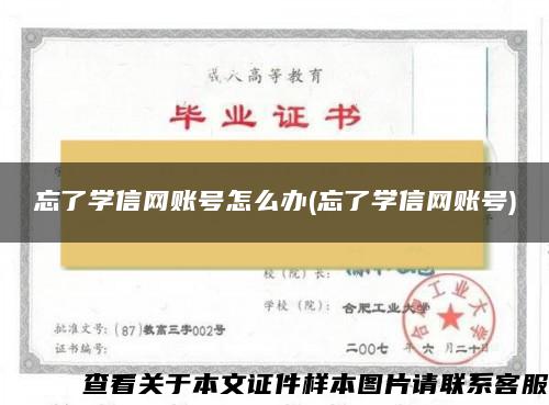 忘了学信网账号怎么办(忘了学信网账号)