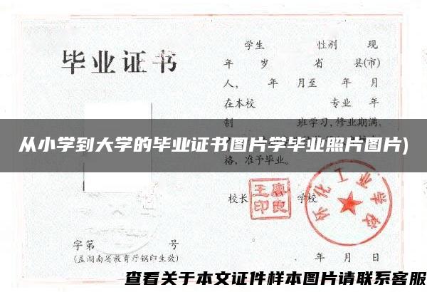 从小学到大学的毕业证书图片学毕业照片图片)