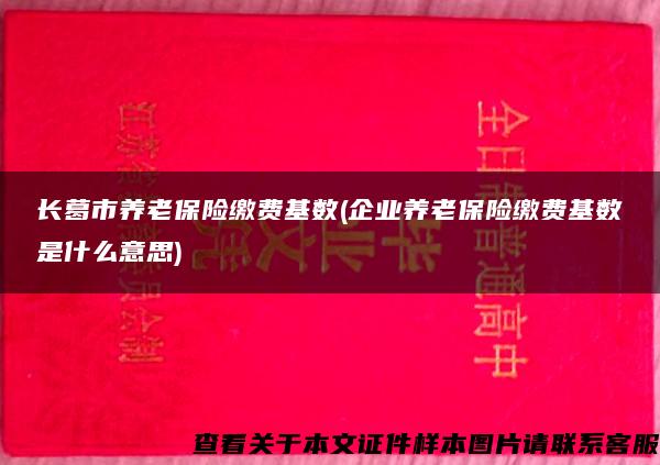 长葛市养老保险缴费基数(企业养老保险缴费基数是什么意思)