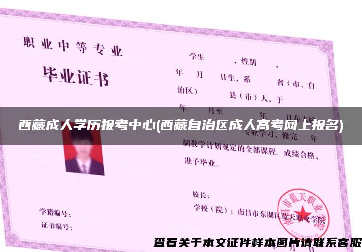 西藏成人学历报考中心(西藏自治区成人高考网上报名)