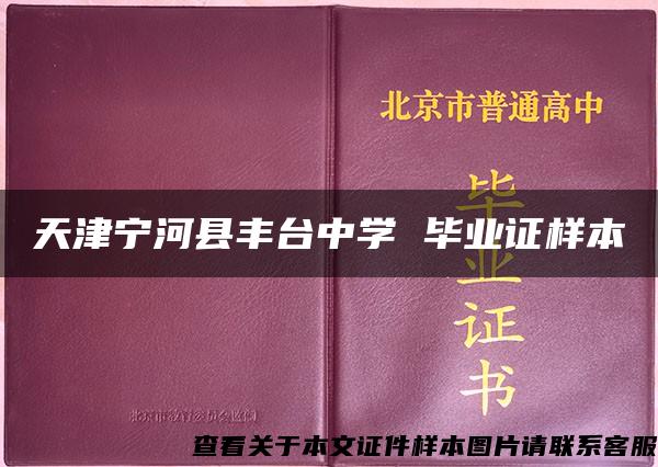 天津宁河县丰台中学 毕业证样本