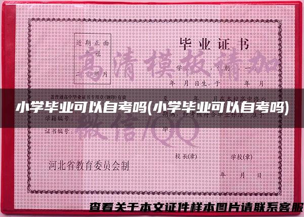 小学毕业可以自考吗(小学毕业可以自考吗)