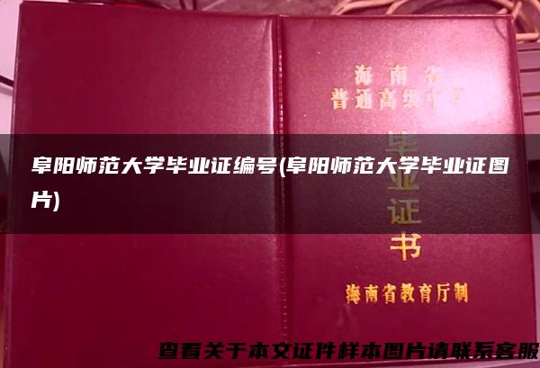 阜阳师范大学毕业证编号(阜阳师范大学毕业证图片)