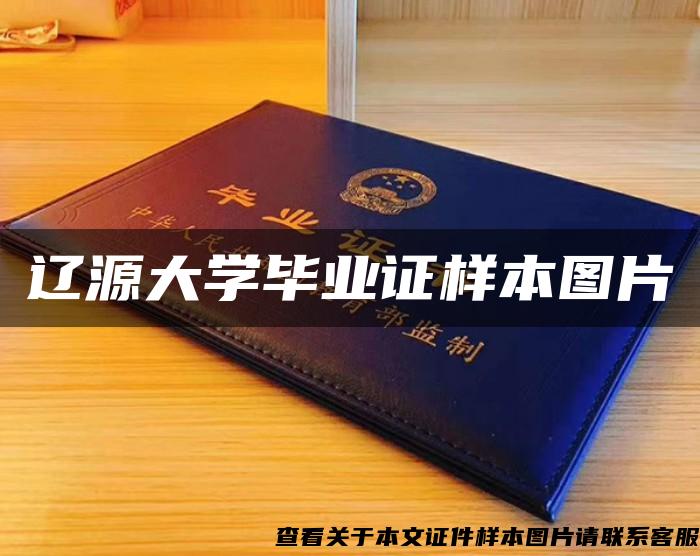 辽源大学毕业证样本图片