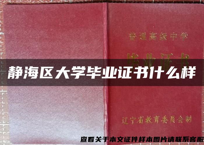 静海区大学毕业证书什么样