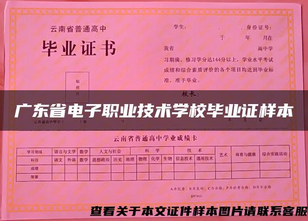 广东省电子职业技术学校毕业证样本