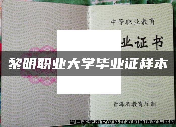 黎明职业大学毕业证样本