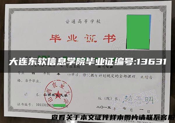 大连东软信息学院毕业证编号:13631