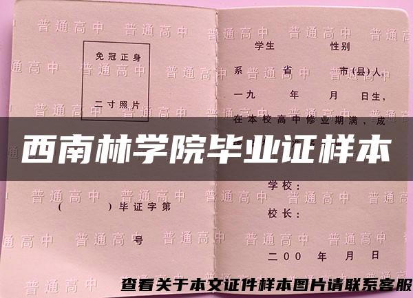 西南林学院毕业证样本