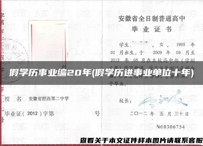 假学历事业编20年(假学历进事业单位十年)