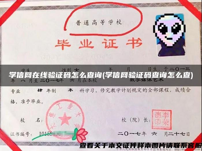 学信网在线验证码怎么查询(学信网验证码查询怎么查)