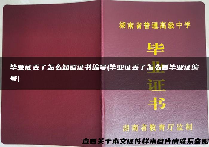 毕业证丢了怎么知道证书编号(毕业证丢了怎么看毕业证编号)