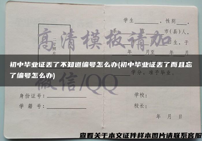 初中毕业证丢了不知道编号怎么办(初中毕业证丢了而且忘了编号怎么办)