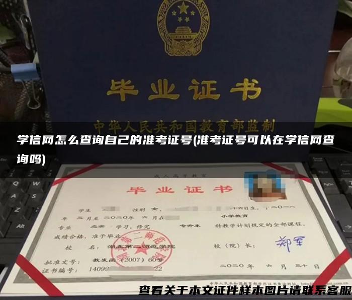 学信网怎么查询自己的准考证号(准考证号可以在学信网查询吗)