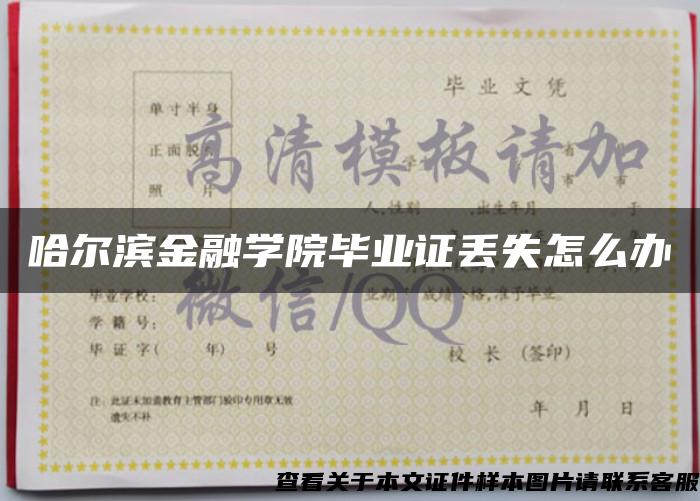 哈尔滨金融学院毕业证丢失怎么办