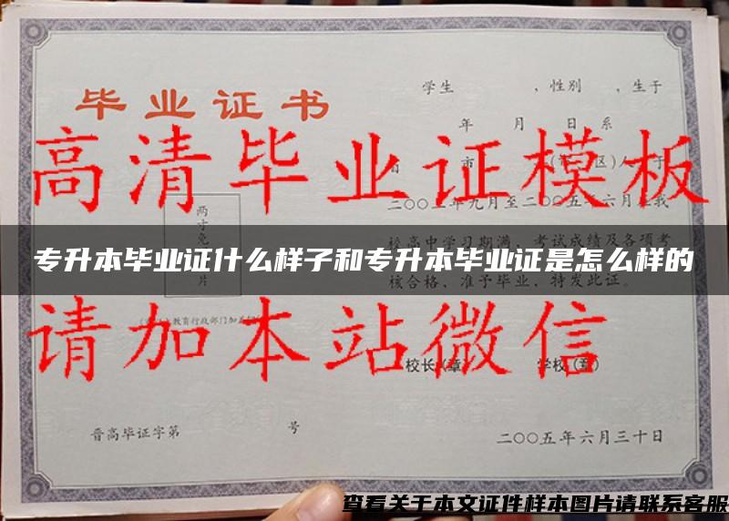 专升本毕业证什么样子和专升本毕业证是怎么样的