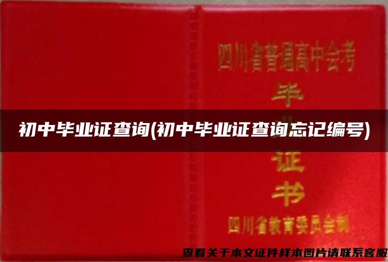 初中毕业证查询(初中毕业证查询忘记编号)