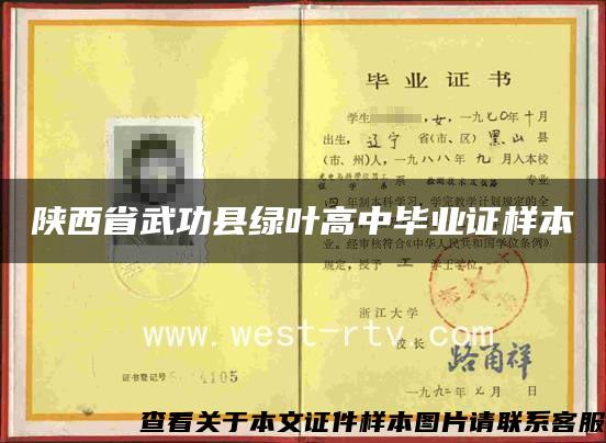 陕西省武功县绿叶高中毕业证样本