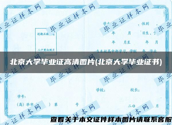 北京大学毕业证高清图片(北京大学毕业证书)