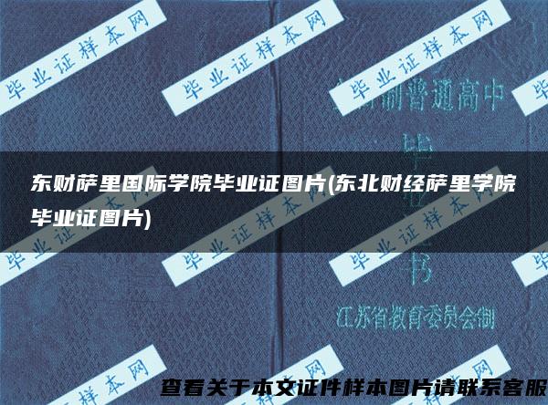 东财萨里国际学院毕业证图片(东北财经萨里学院毕业证图片)