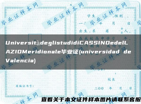 UniversitàdeglistudidiCASSINOedelLAZIOMeridionale毕业证(universidad de Valencia)