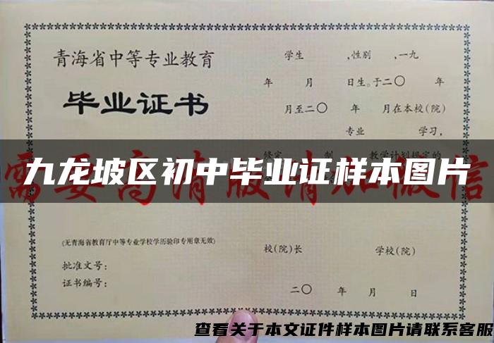 九龙坡区初中毕业证样本图片