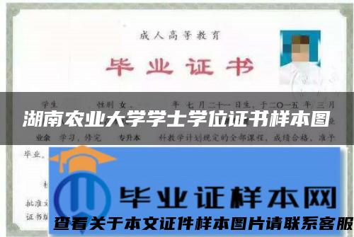 湖南农业大学学士学位证书样本图