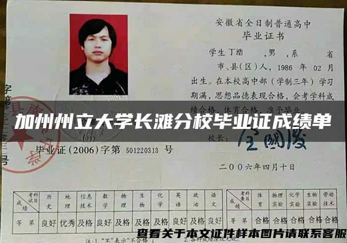 加州州立大学长滩分校毕业证成绩单