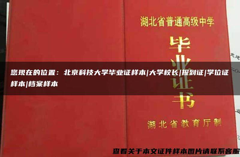 您现在的位置：北京科技大学毕业证样本|大学校长|报到证|学位证样本|档案样本