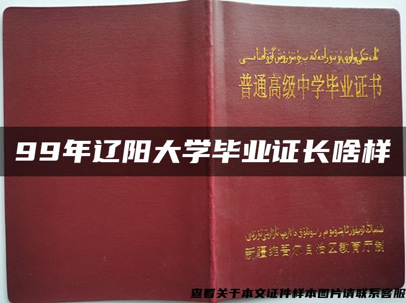 99年辽阳大学毕业证长啥样