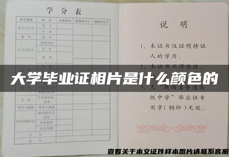 大学毕业证相片是什么颜色的