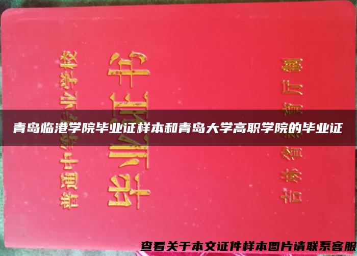 青岛临港学院毕业证样本和青岛大学高职学院的毕业证