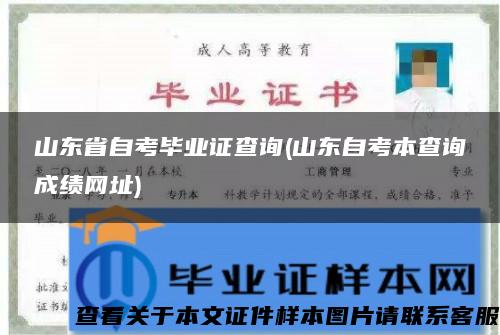 山东省自考毕业证查询(山东自考本查询成绩网址)