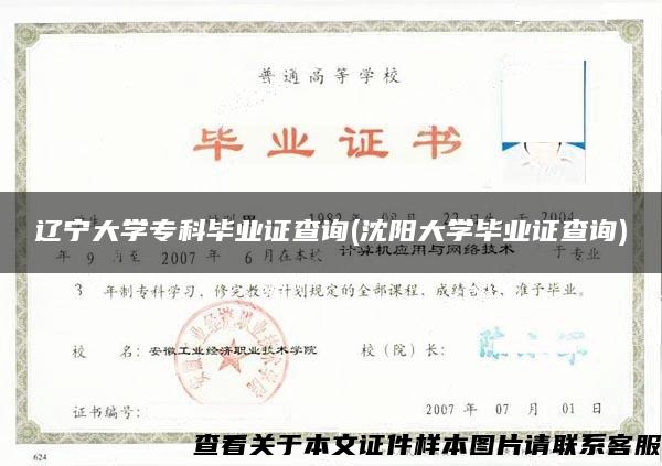 辽宁大学专科毕业证查询(沈阳大学毕业证查询)