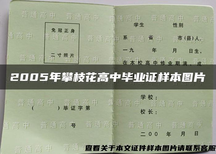 2005年攀枝花高中毕业证样本图片