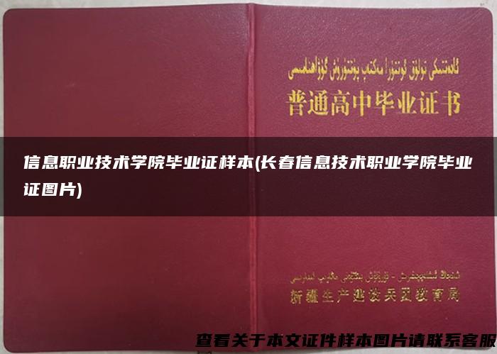 信息职业技术学院毕业证样本(长春信息技术职业学院毕业证图片)